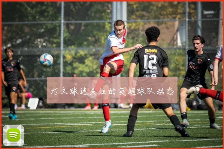 尤文球迷关注的英超球队动态