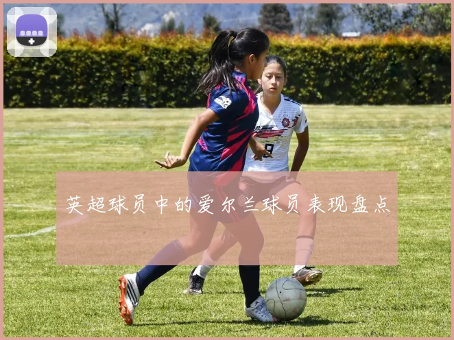 英超球员中的爱尔兰球员表现盘点