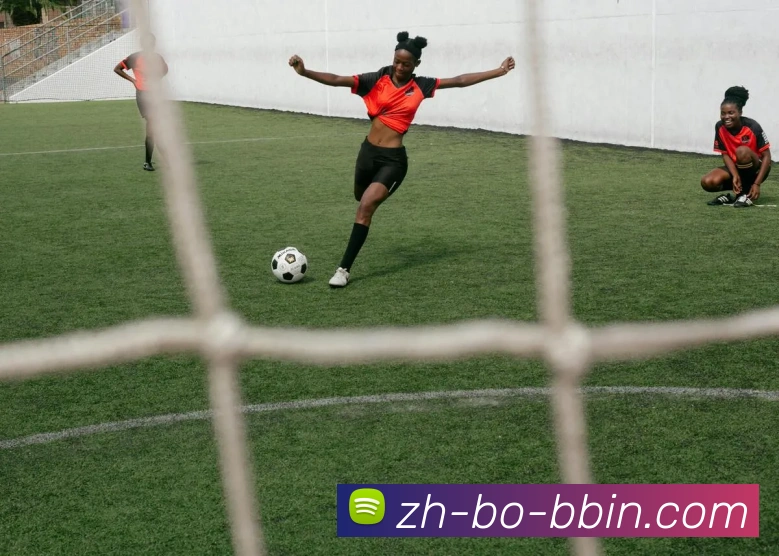 bbin宝盈发展历程