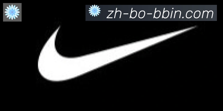 bbin宝盈合作伙伴